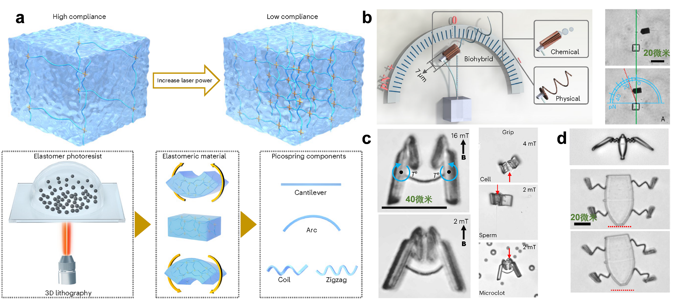 beat365在线体育app