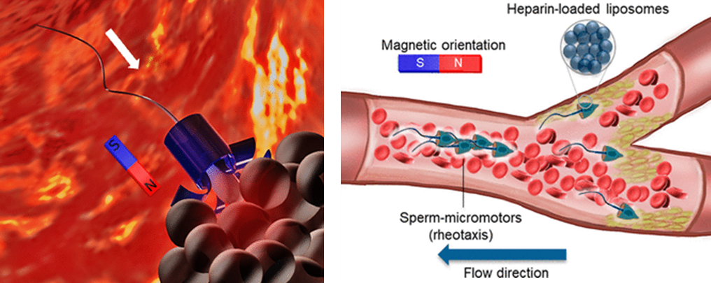 beat365在线体育app