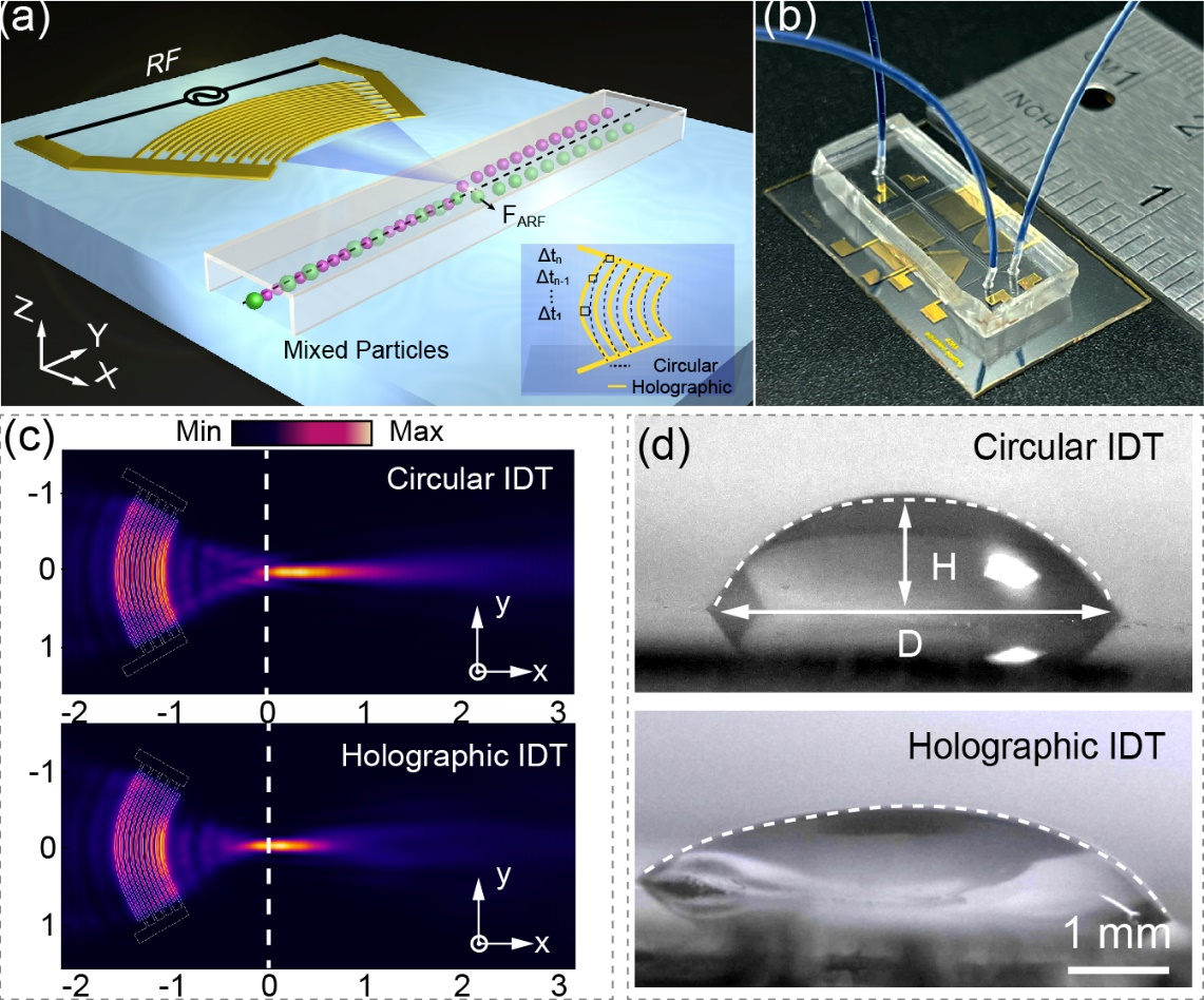 beat365在线体育app