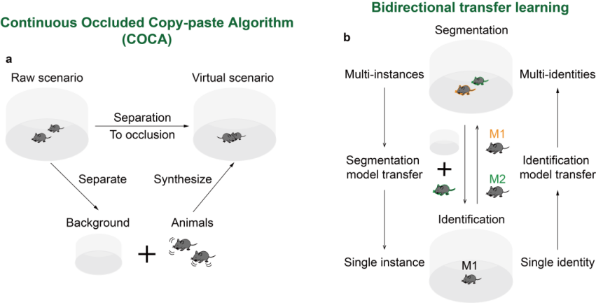beat365在线体育app