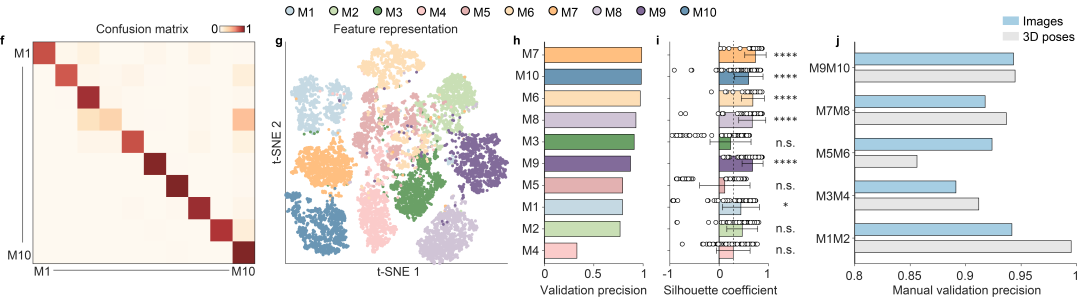 beat365在线体育app