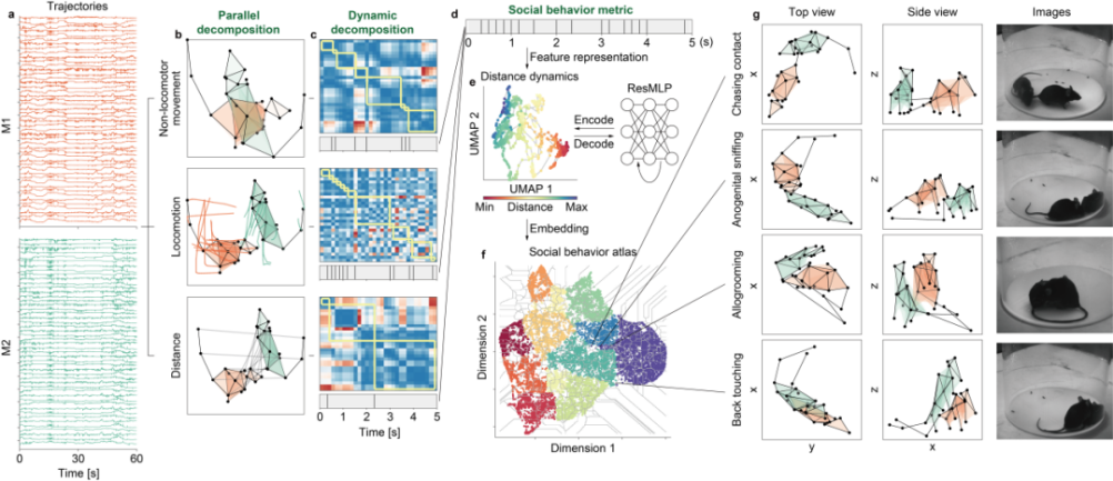 beat365在线体育app