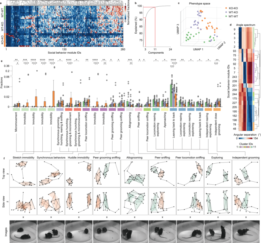 beat365在线体育app