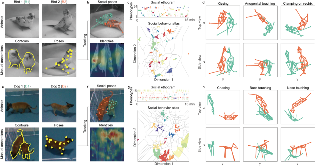beat365在线体育app