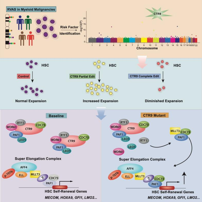 beat365在线体育app