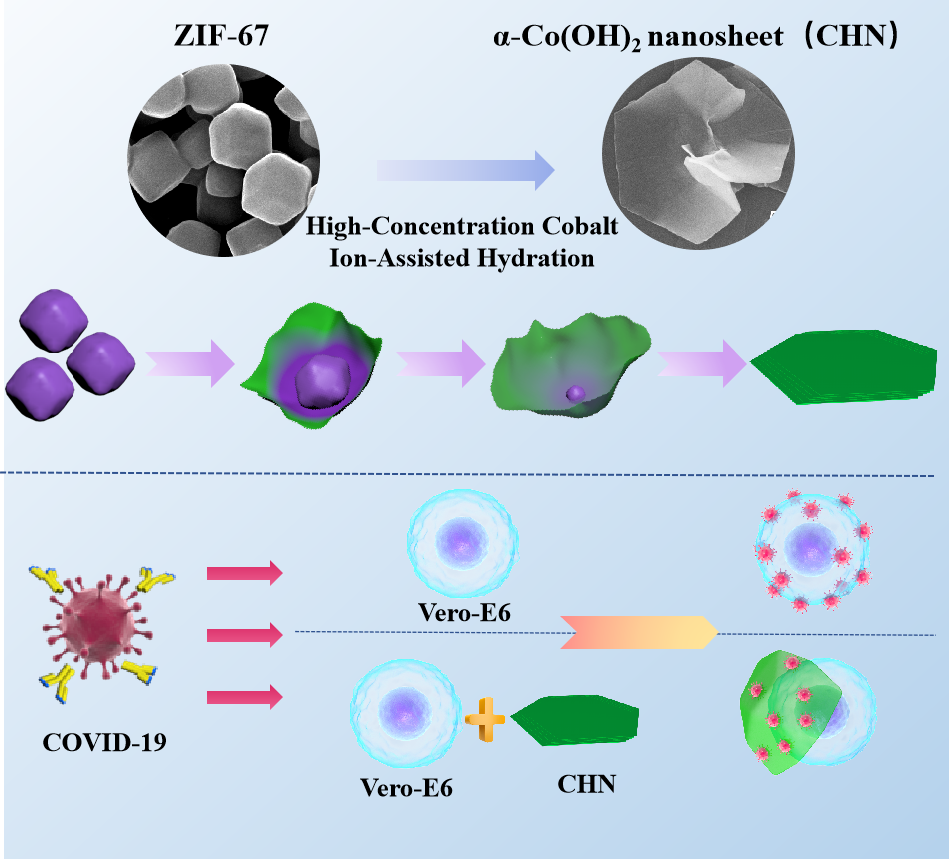 beat365在线体育app