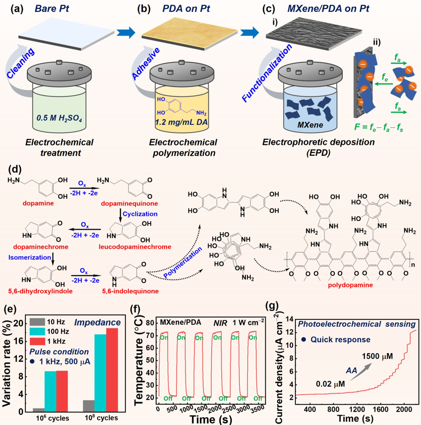 beat365在线体育app