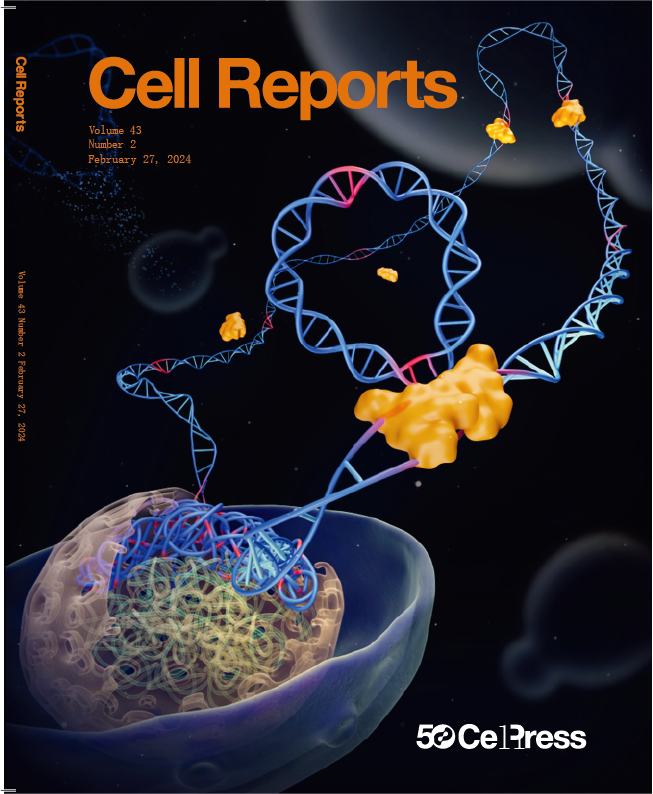 beat365在线体育app