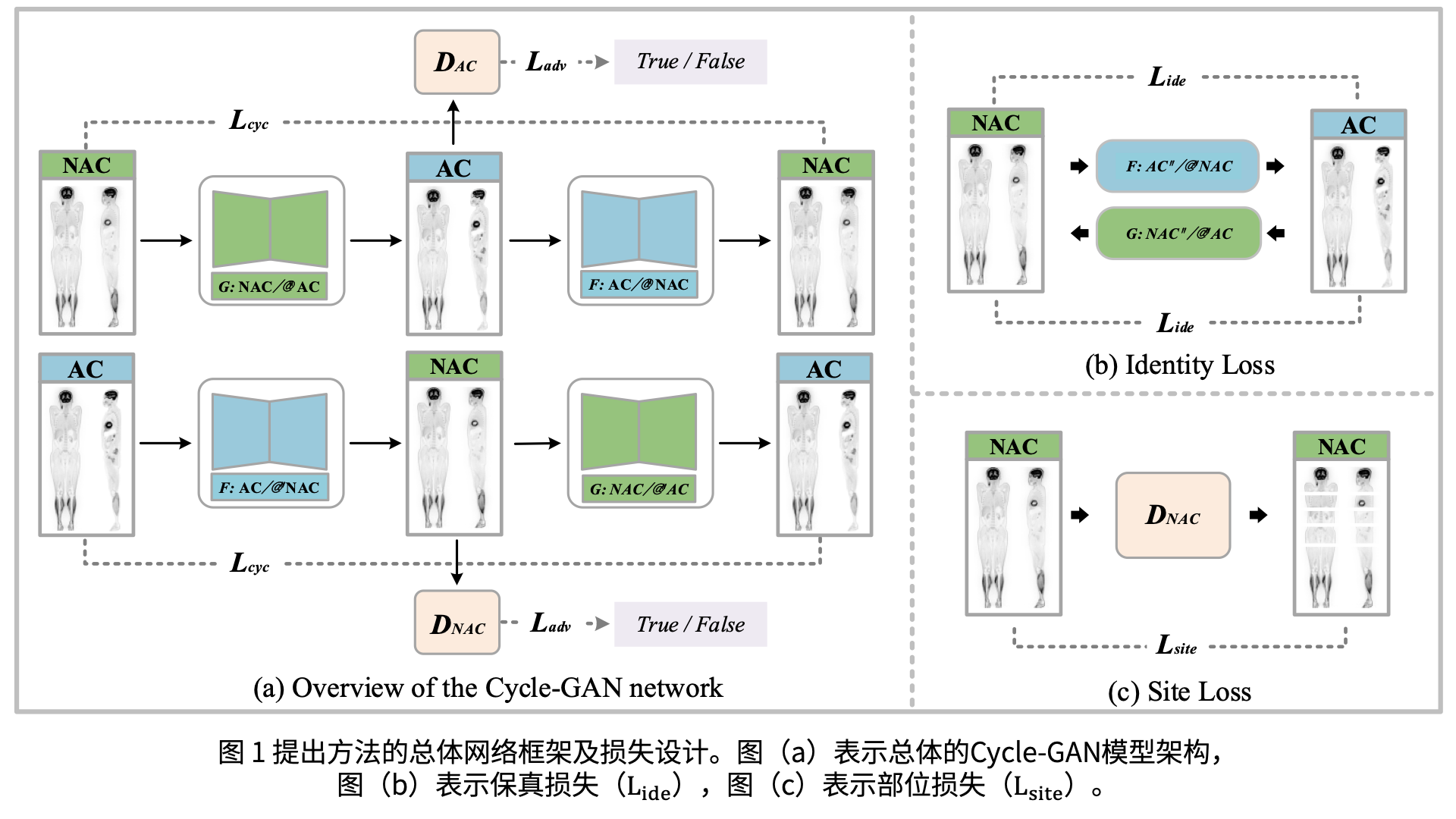 beat365在线体育app