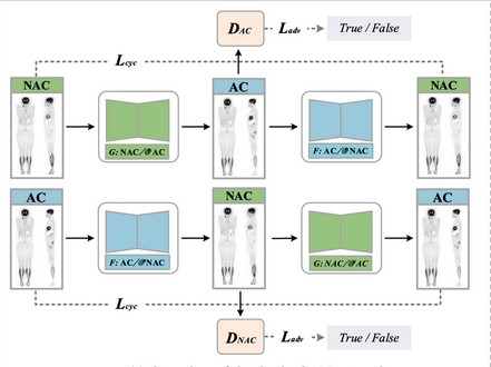 beat365在线体育app