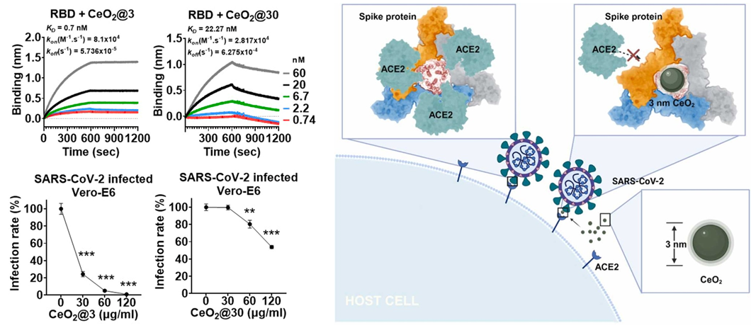 beat365在线体育app