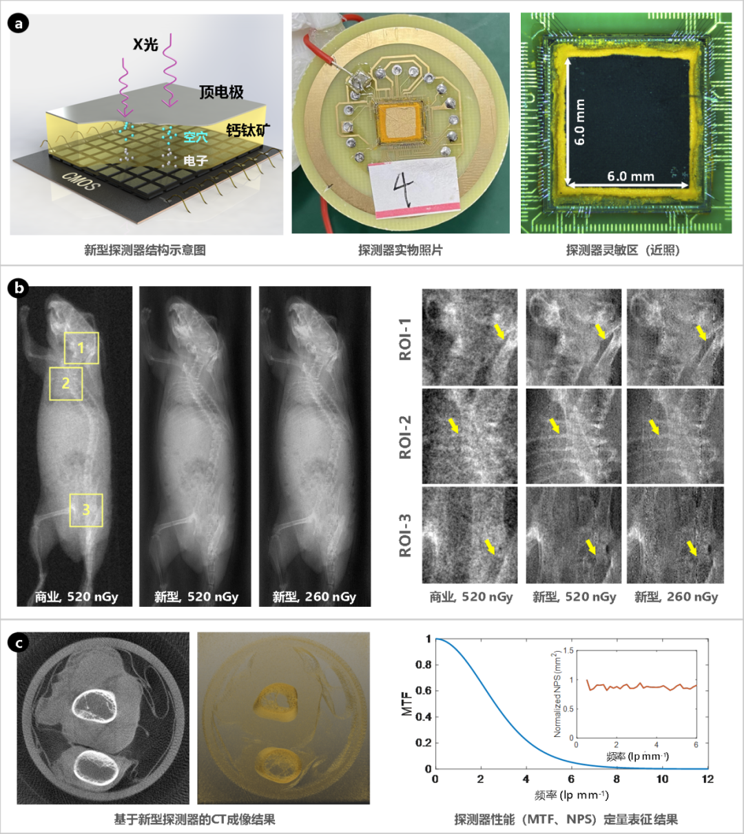 beat365在线体育app