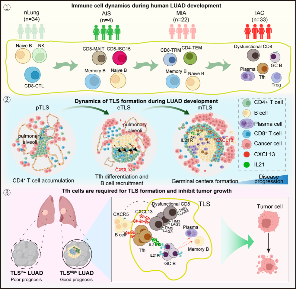 beat365在线体育app