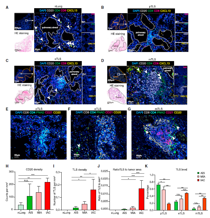 beat365在线体育app