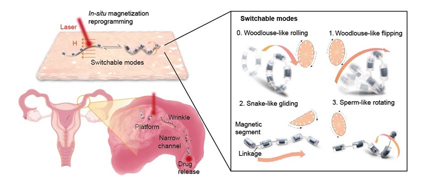 beat365在线体育app