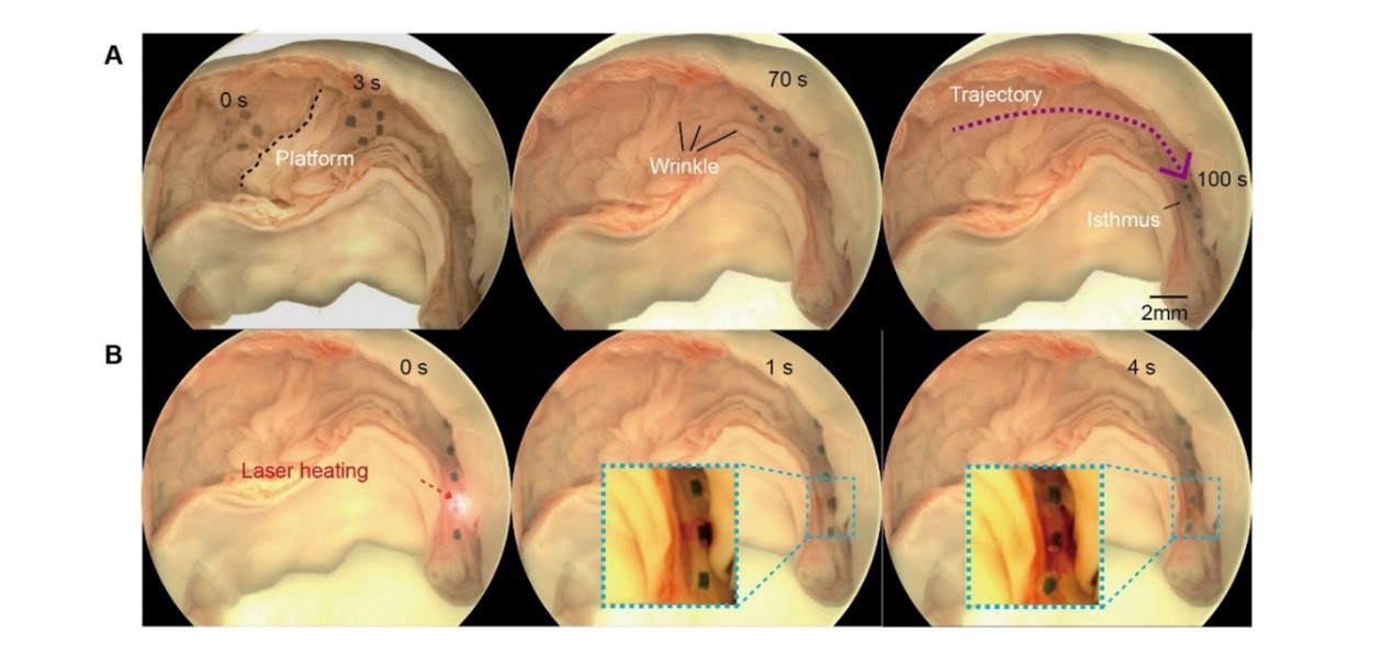 beat365在线体育app
