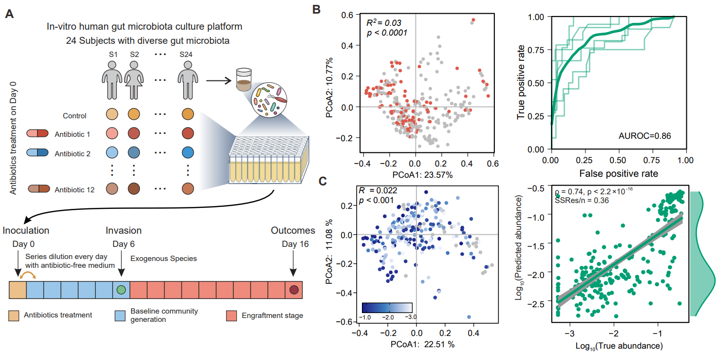beat365在线体育app