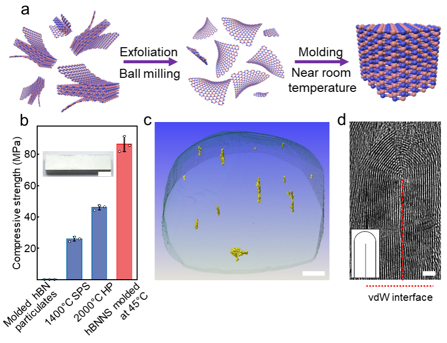 beat365在线体育app
