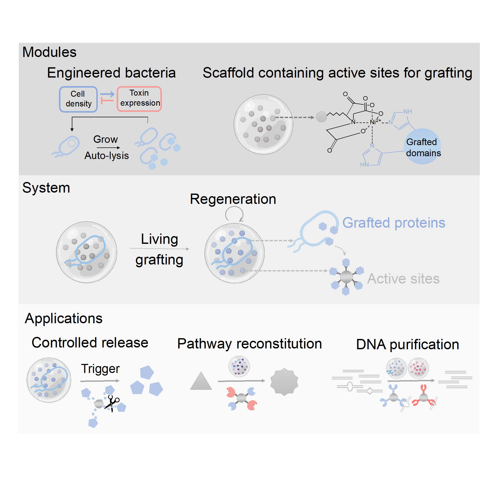 beat365在线体育app