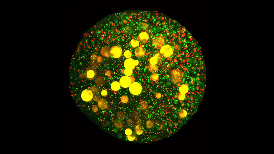 beat365在线体育app