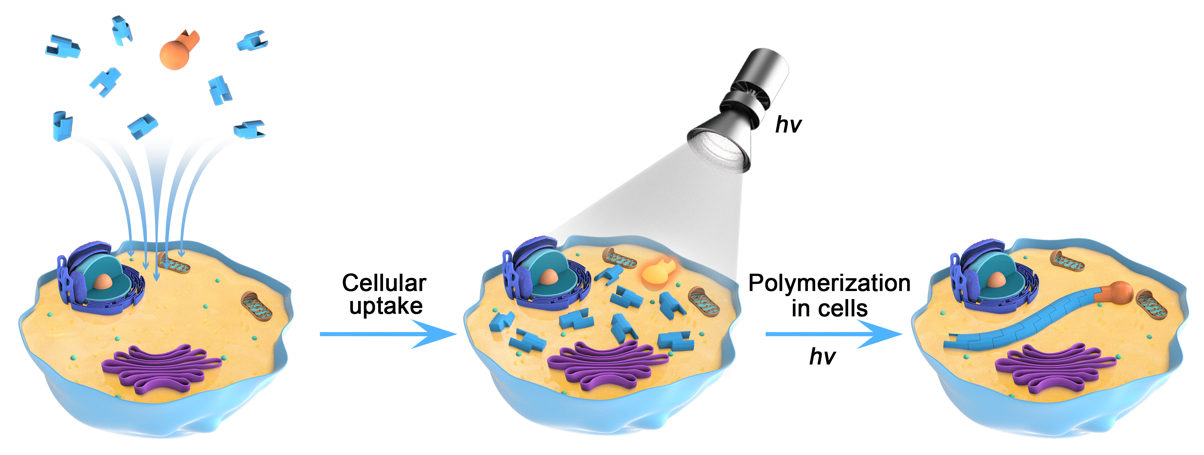 beat365在线体育app