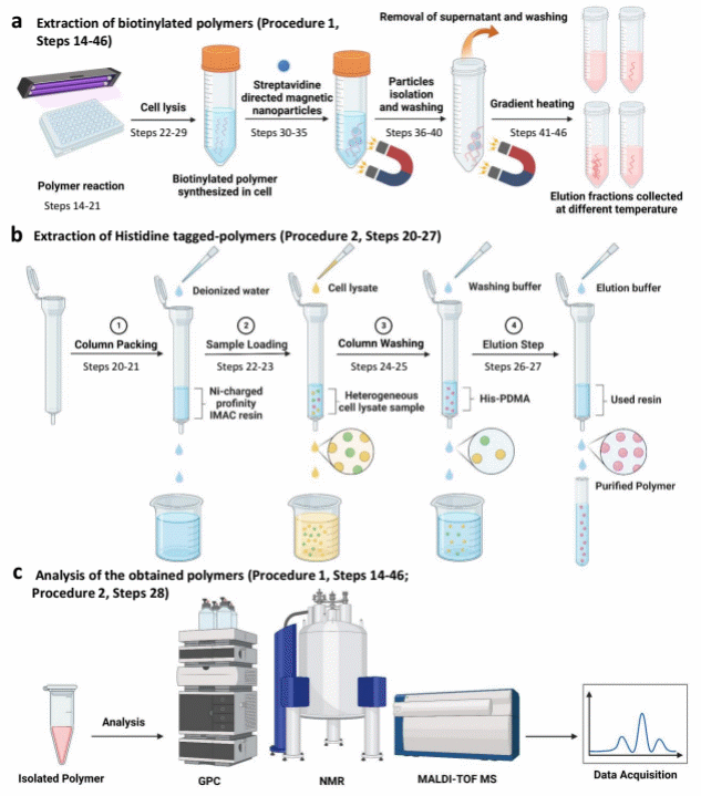 beat365在线体育app