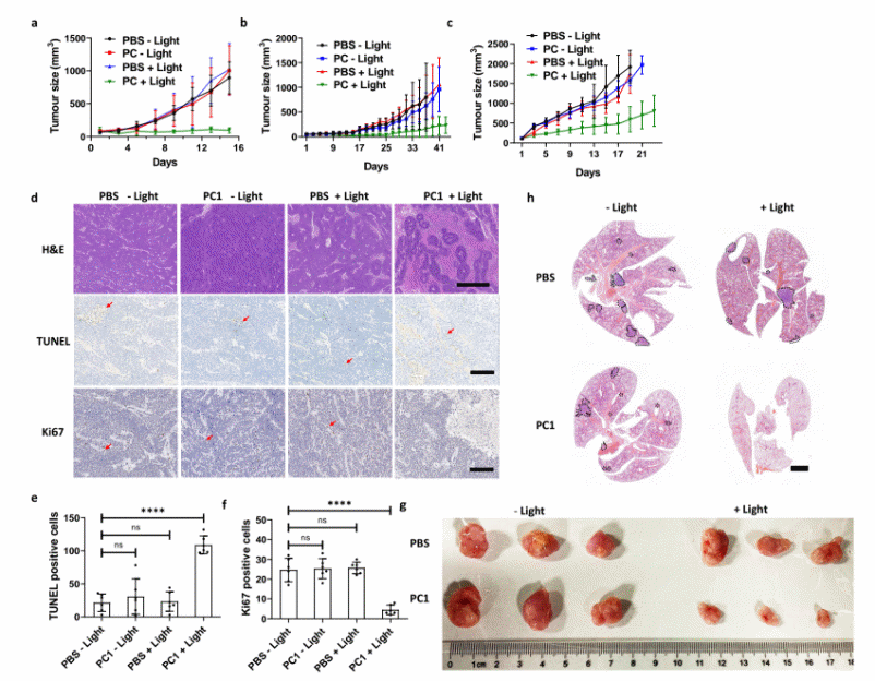 beat365在线体育app