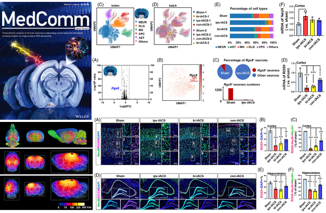 beat365在线体育app
