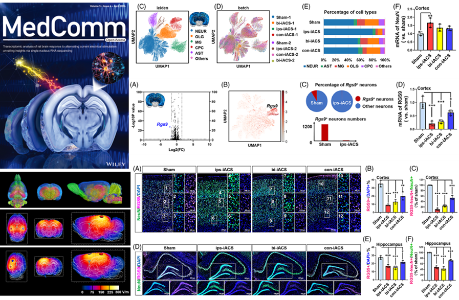 beat365在线体育app