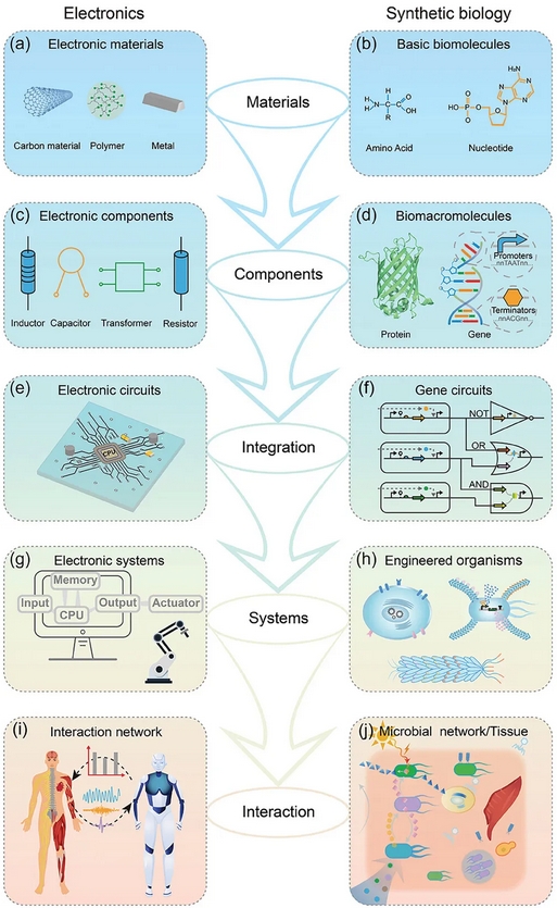 beat365在线体育app