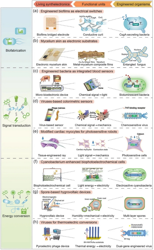 beat365在线体育app