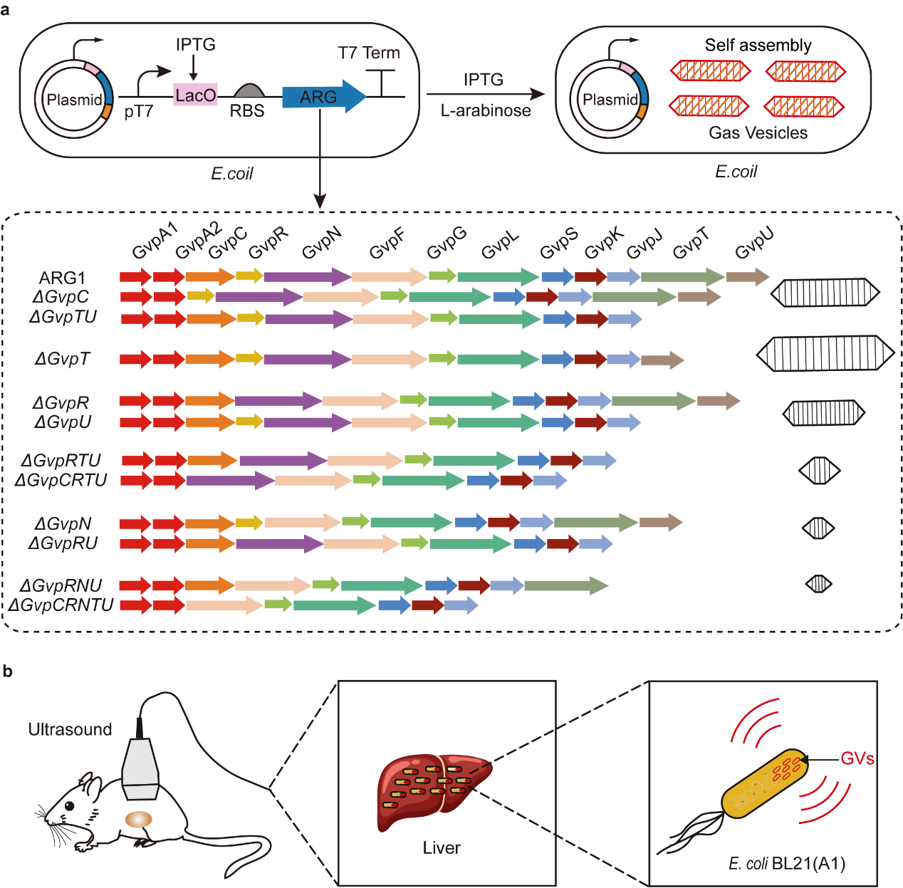 beat365在线体育app
