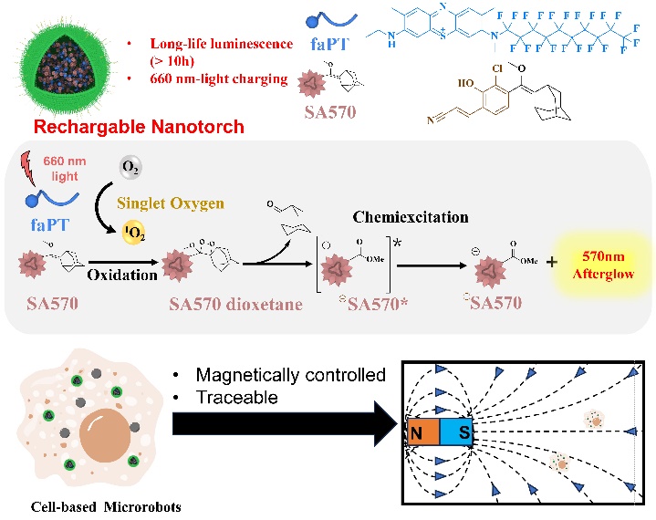 beat365在线体育app