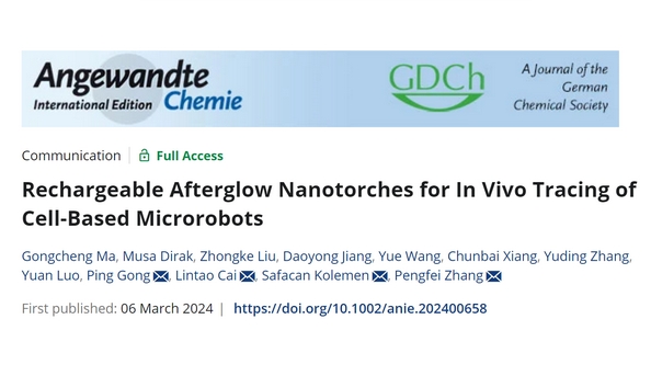 beat365在线体育app