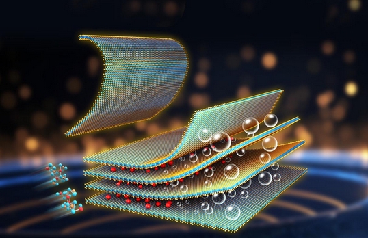 beat365在线体育app