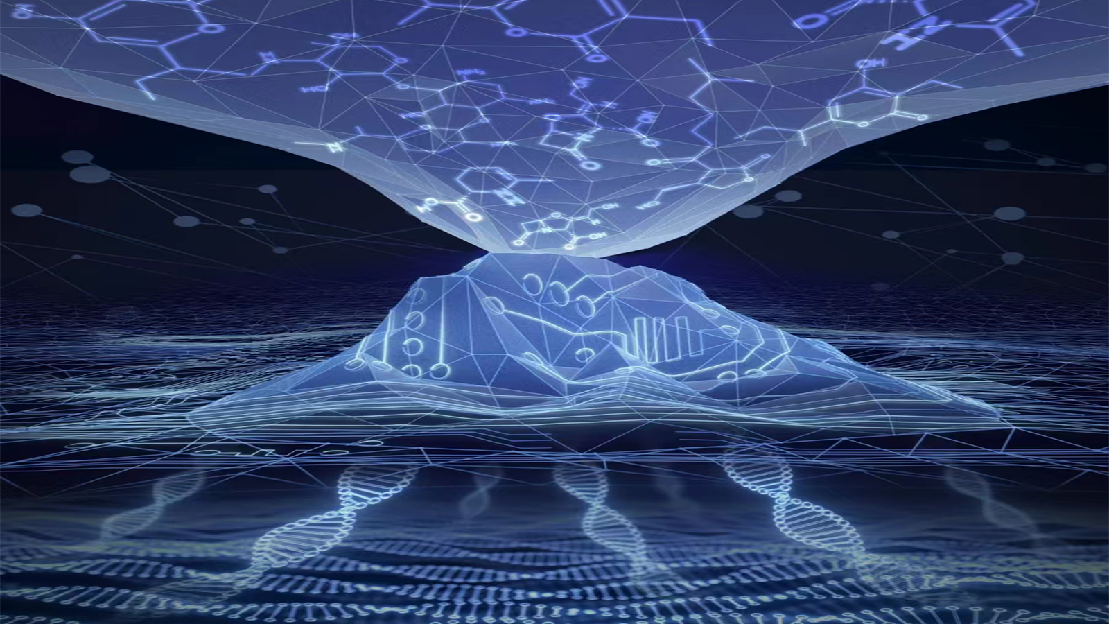 beat365在线体育app