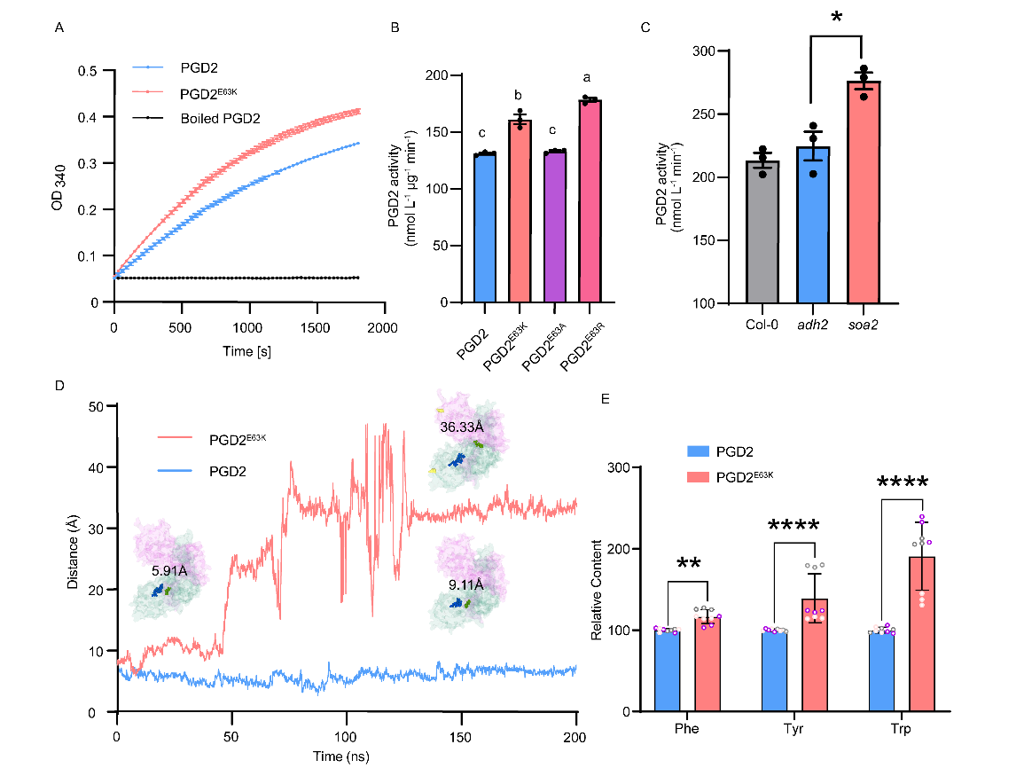 beat365在线体育app