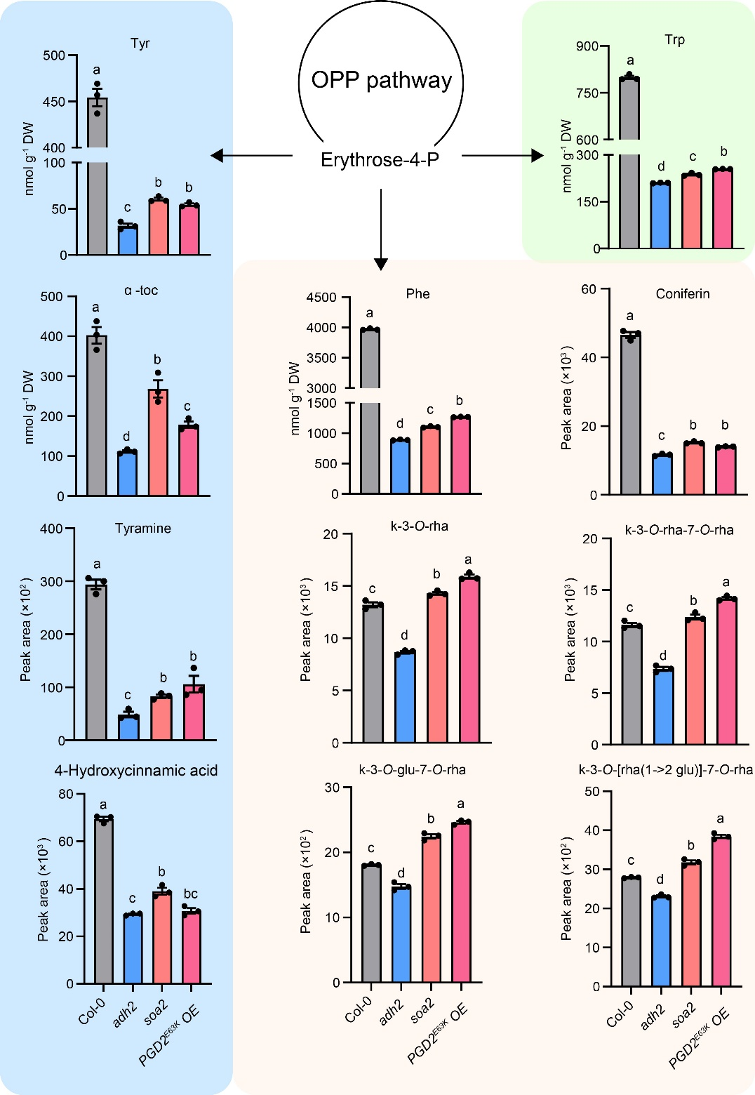 beat365在线体育app