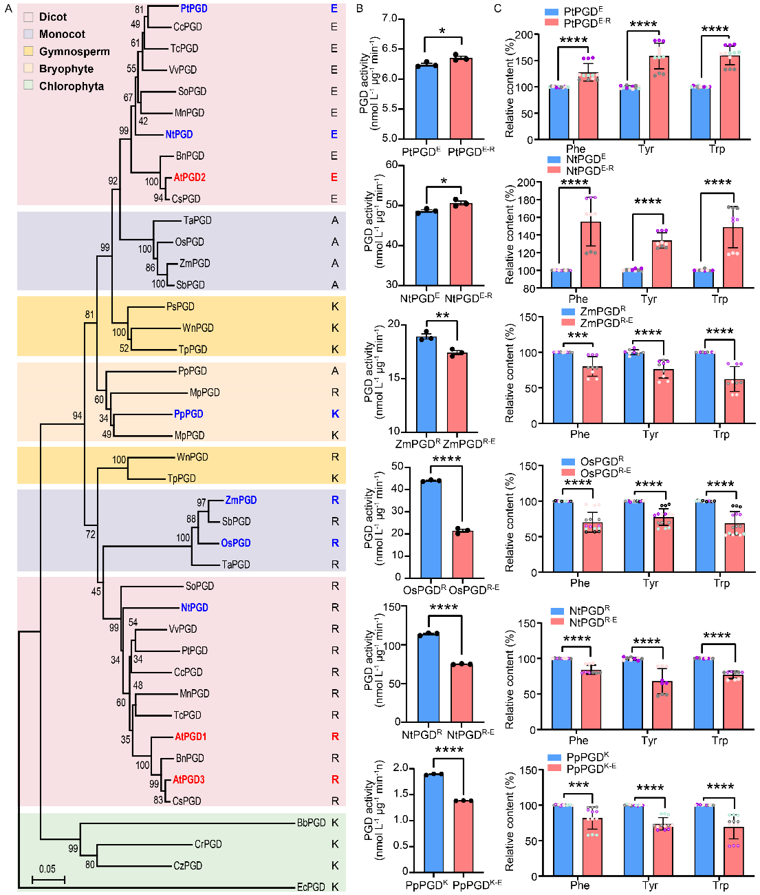 beat365在线体育app