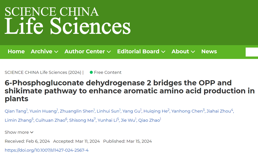 beat365在线体育app