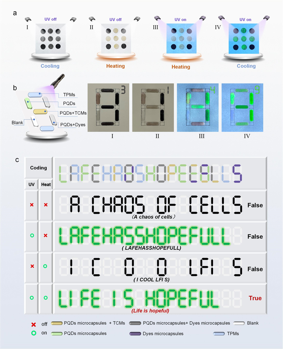 beat365在线体育app