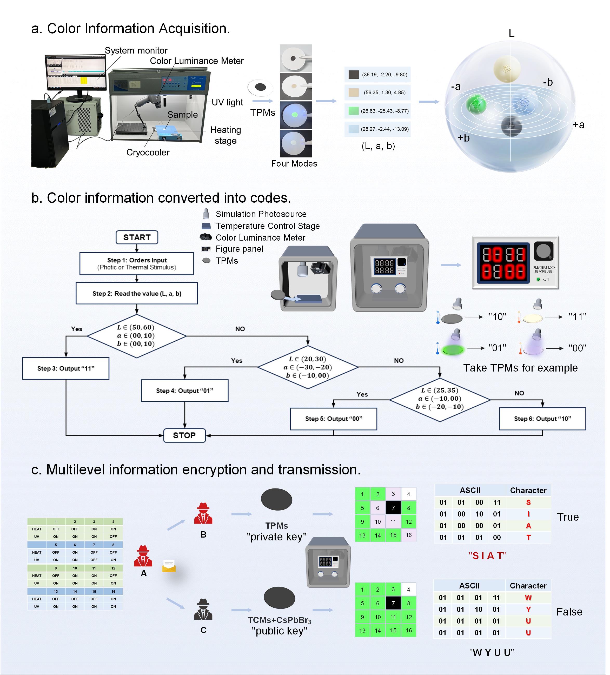 beat365在线体育app
