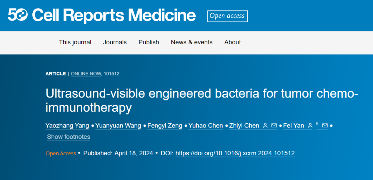 beat365在线体育app