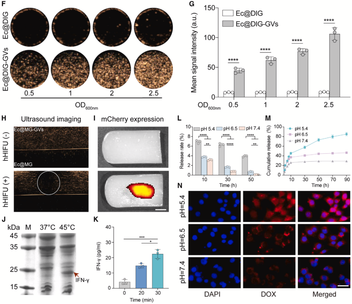 beat365在线体育app