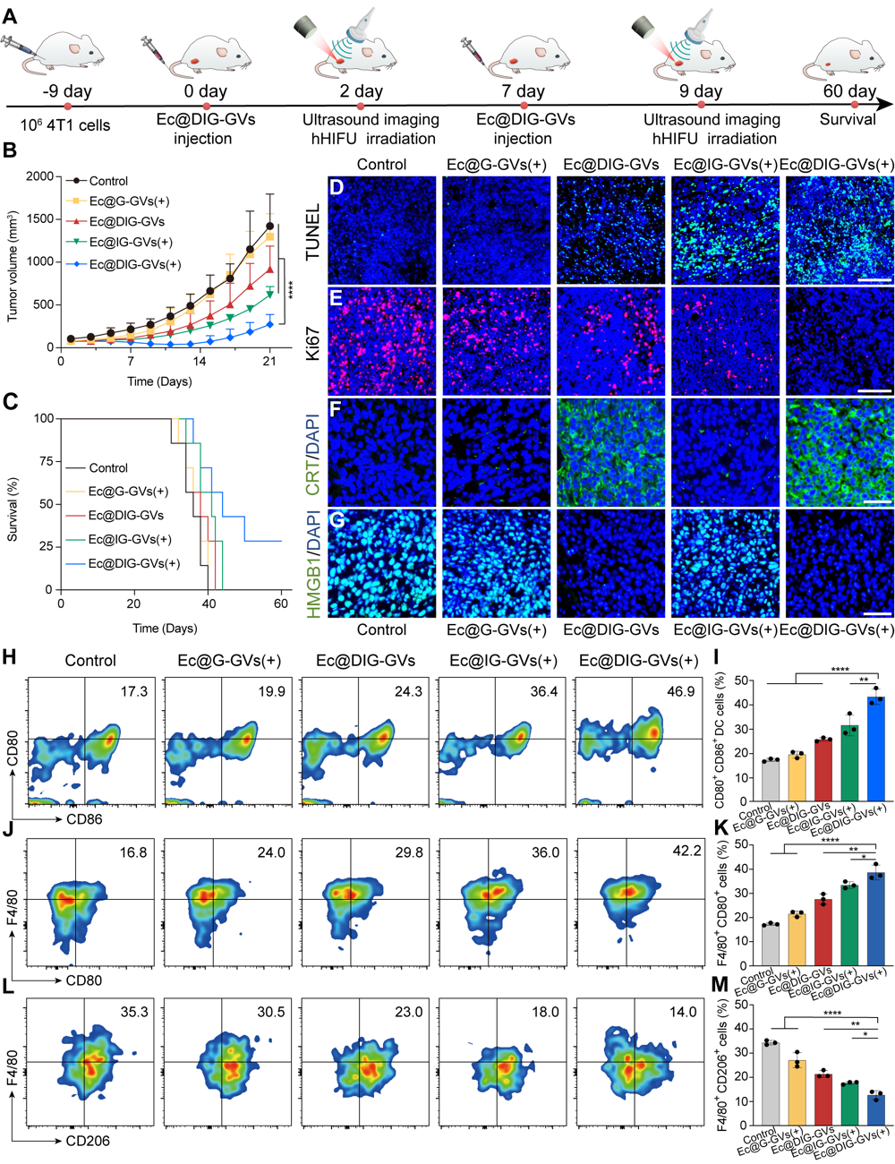 beat365在线体育app