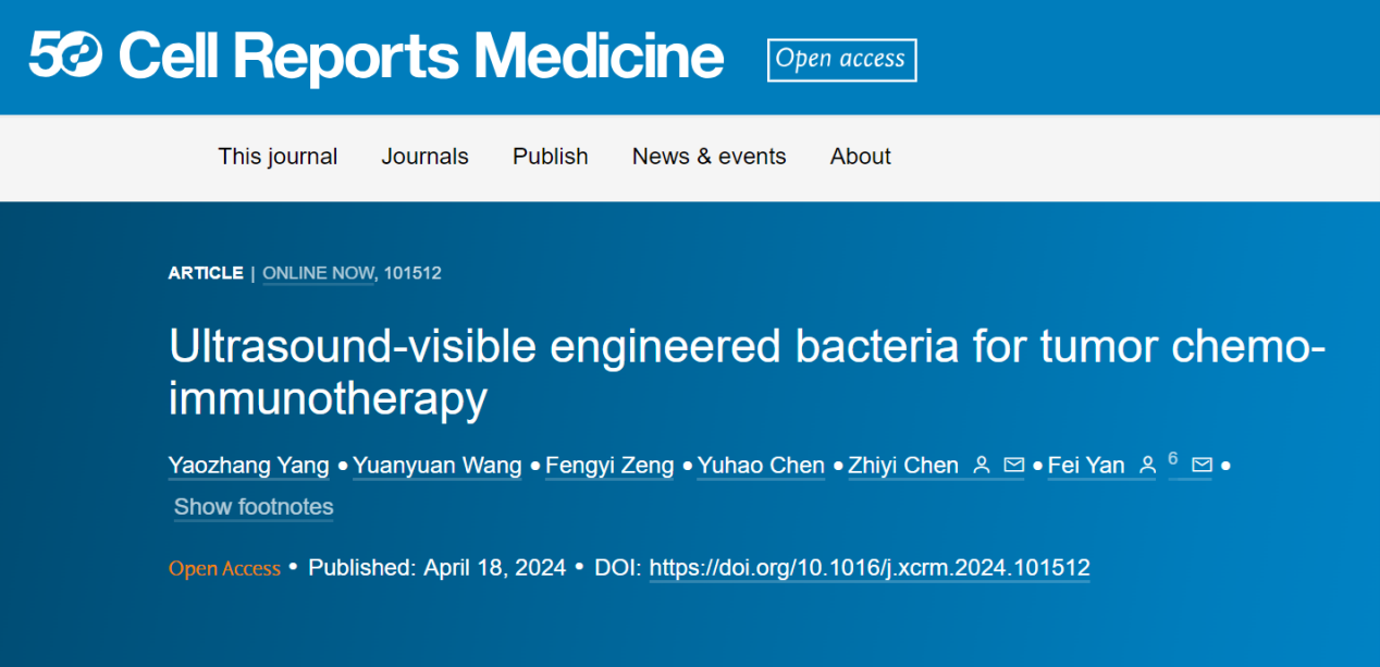 beat365在线体育app