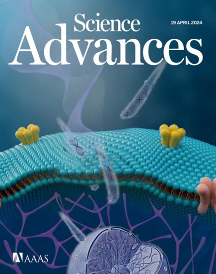 beat365在线体育app