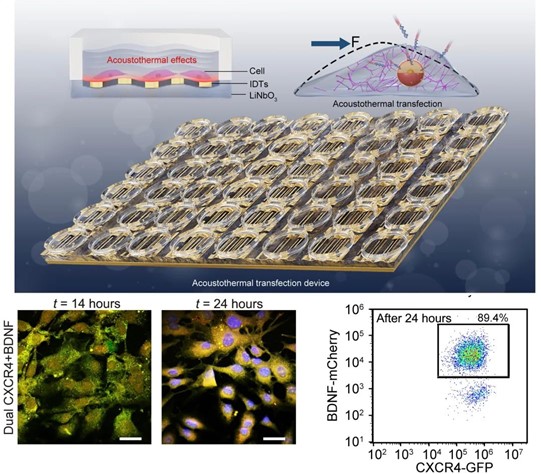 beat365在线体育app