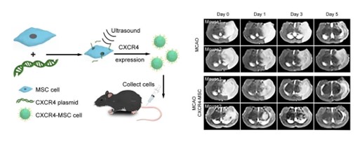beat365在线体育app