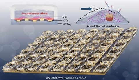 beat365在线体育app